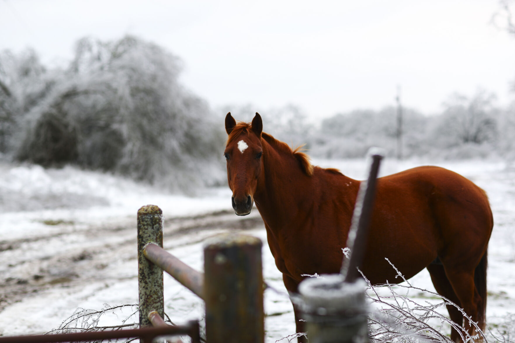20210218 Winter Weather CS 14.jpg